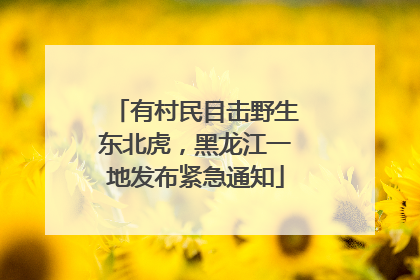 有村民目击野生东北虎，黑龙江一地发布紧急通知